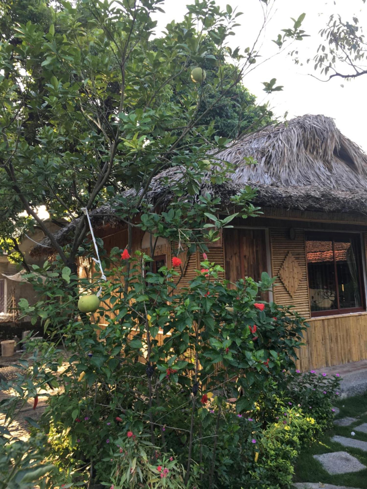 Tam Coc Palm House Villa Ninh Bình Kültér fotó