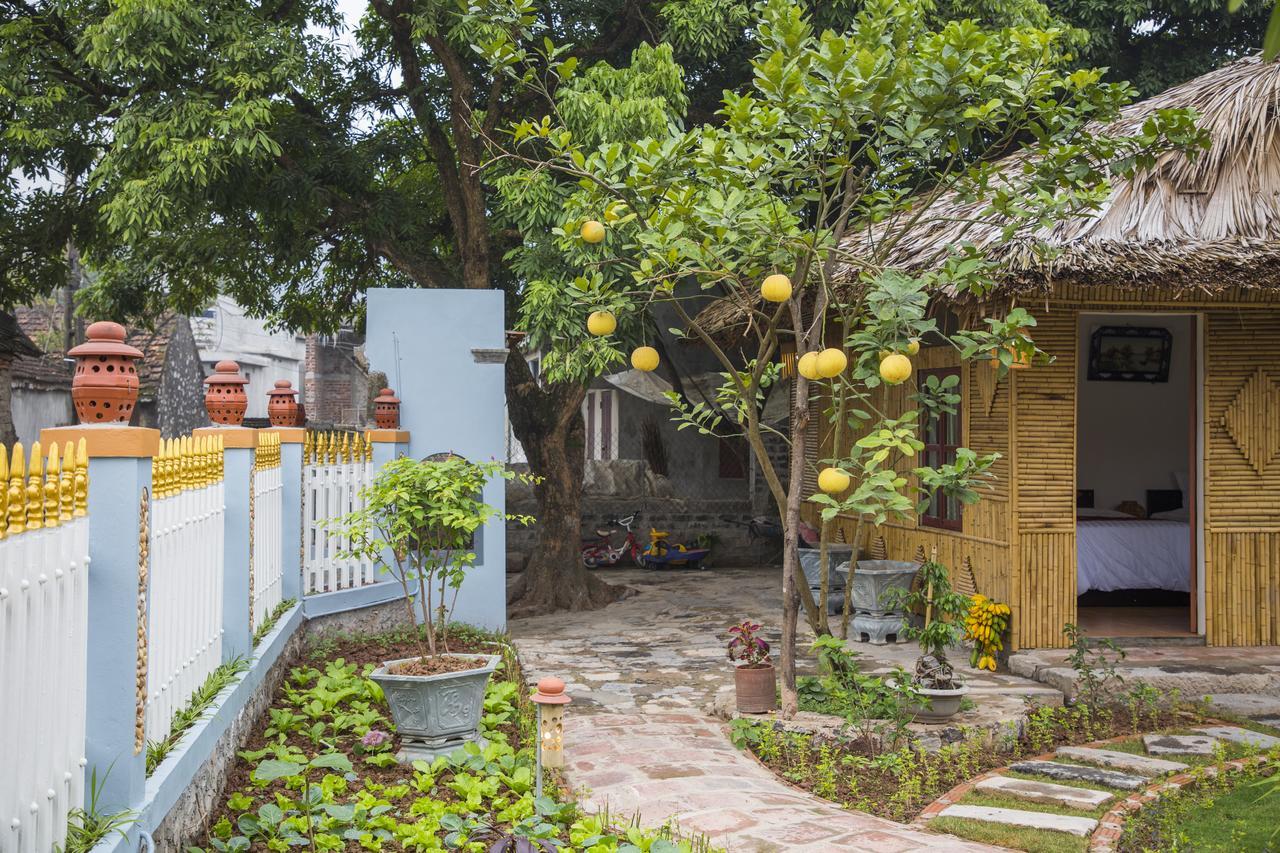 Tam Coc Palm House Villa Ninh Bình Kültér fotó